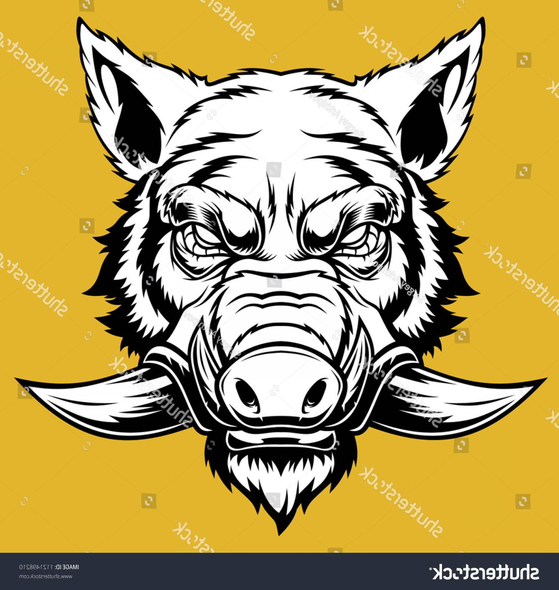 1800x1902 Boar Head Vector Soidergi