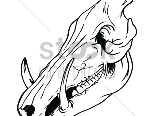 640x480 Free Boar Clipart, Download Free Clip Art