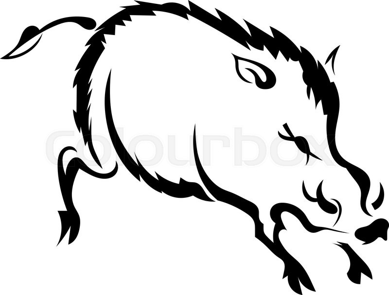 800x607 Silhouette Wild Boar On White Stock Vector Colourbox