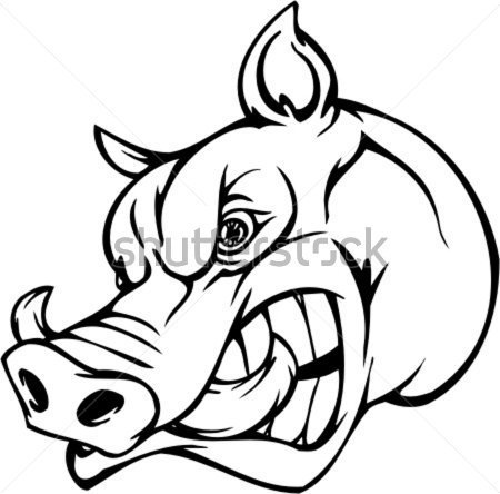 450x444 Wild Hog Clipart