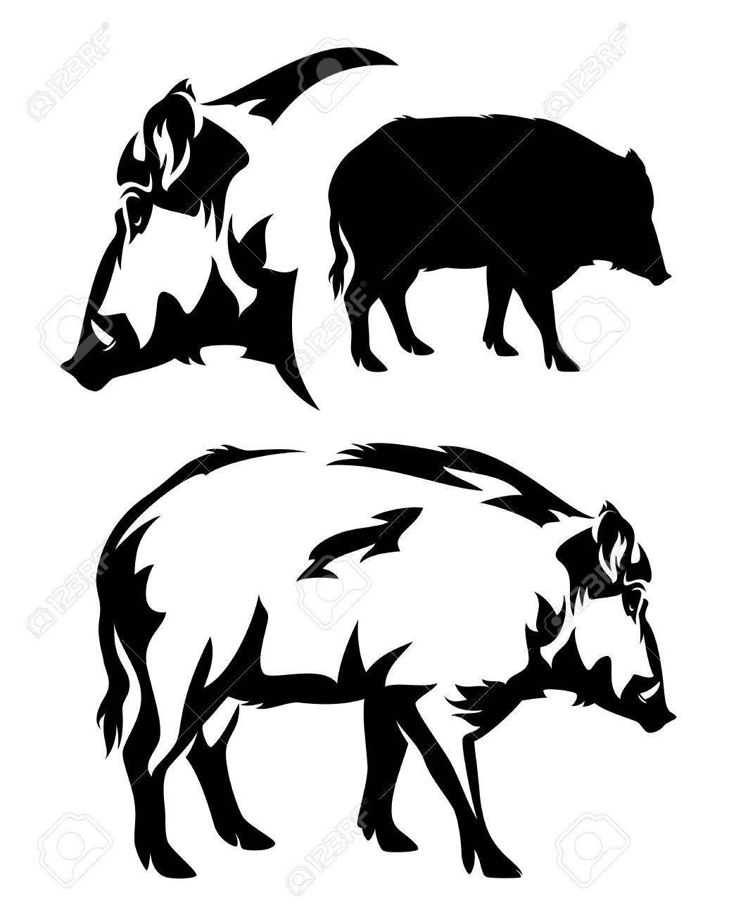 1036x1300 Fresh Wild Hog Drawing Sketch Gallery Drawing Sketch