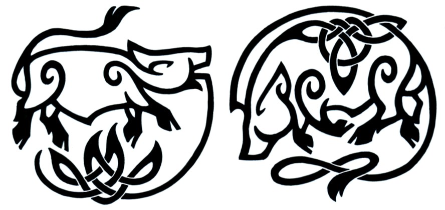 888x420 Boar Tattoos Drawings Ideas And Designs