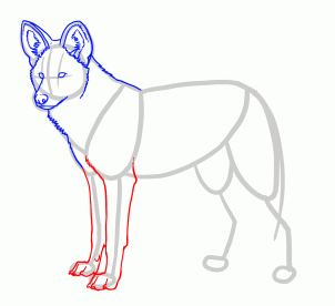 302x276 How To Draw African Wild Dogs, Step