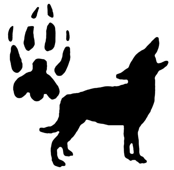 600x588 Wild Dog Drawings