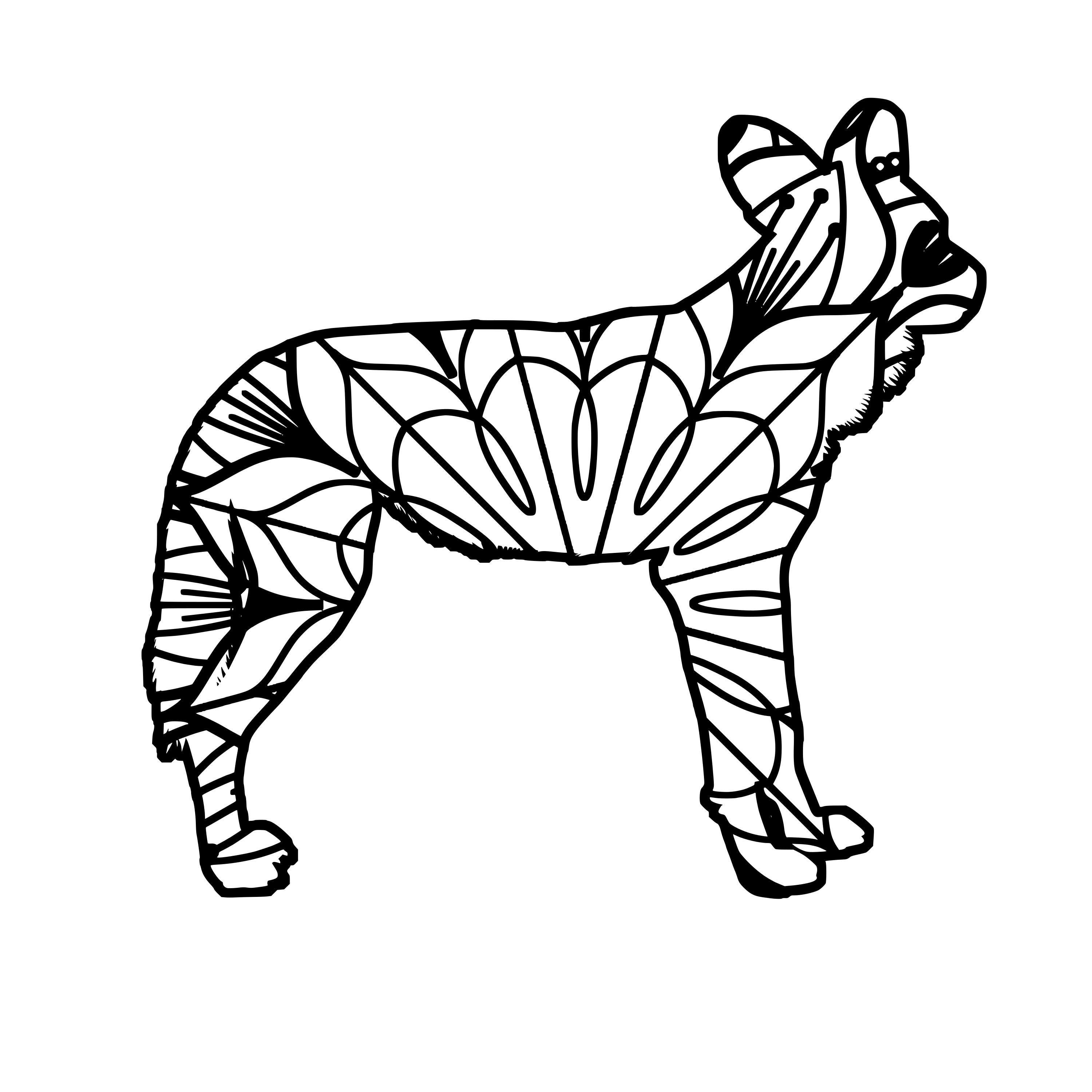 3000x3000 Wild Dog Mandala