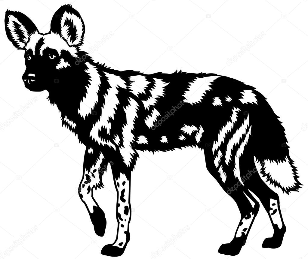 1024x863 Collection Of Free Hyaena Clipart African Wild Dog Download On Ui Ex