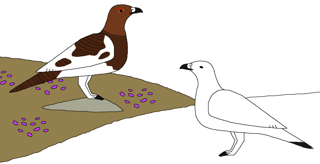 1024x525 Collection Of Free Birds Drawing Wild Bird Download On Ui Ex