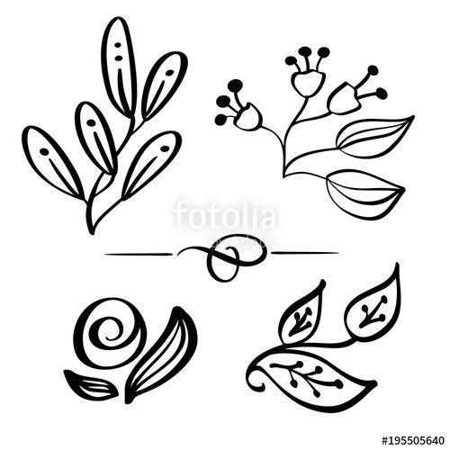 500x500 Set Hand Drawn Wild Flowers Branch Vector Drawing And Sketch