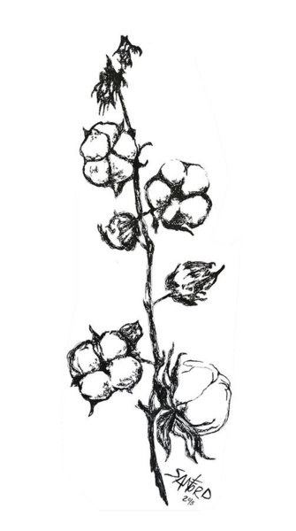 335x600 Wild Flowers Drawings
