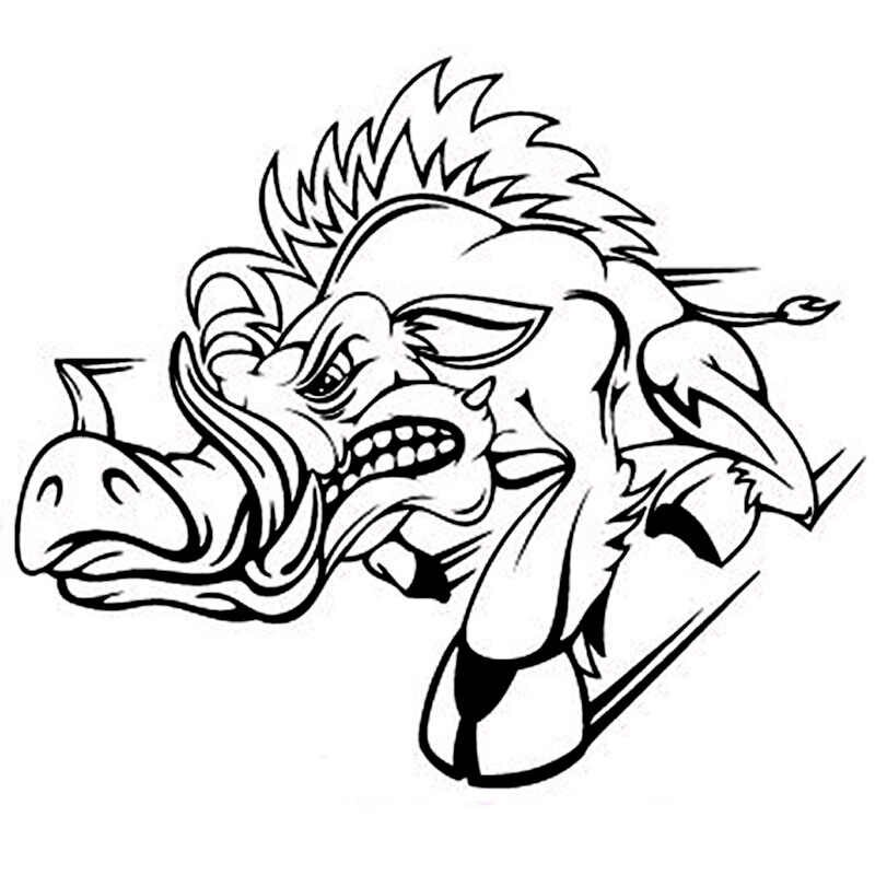 800x800 Detail Feedback Questions About Personality Design Wild