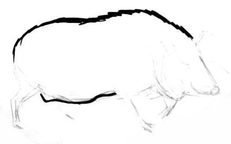 450x282 How To Draw A Wild Boar