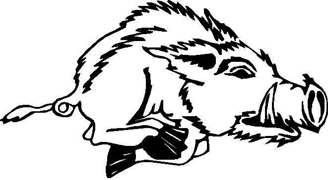 661x364 Wild Hog Car Decal Sticker