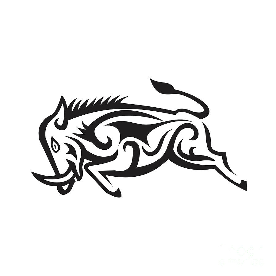 900x900 Wild Boar Charging Tribal Art Digital Art