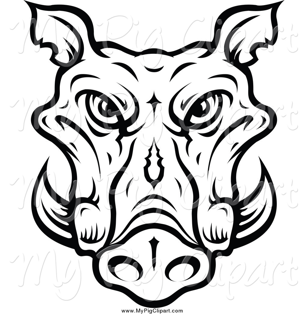 1024x1044 Wild Boar Head Clipart
