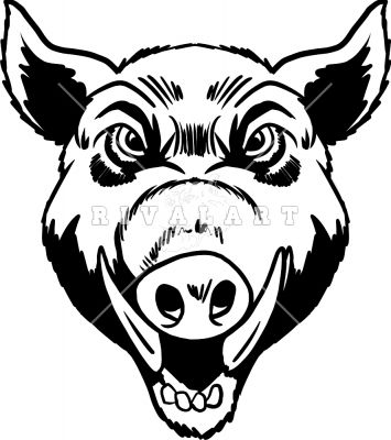 Wild Hog Drawing | Free download on ClipArtMag