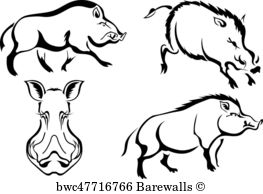 263x194 Wild Black Hog Posters And Art Prints Barewalls