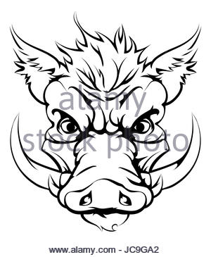 300x365 Collection Of 'boar Head Drawing' Download More Than Images
