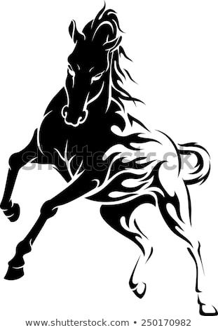 311x470 Objevte Tohle A Miliony Stock