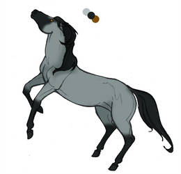 260x250 wild horse herd