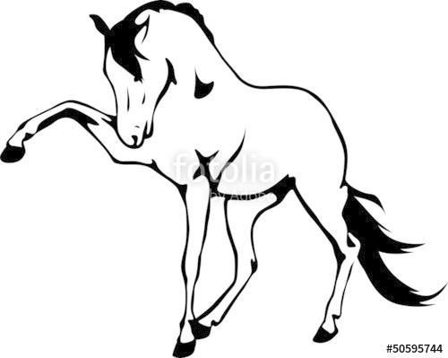 500x399 Wild Horse Stock Image And Royalty Free Vector On Fotolia