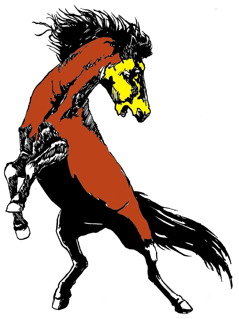 974x1300 Wild Horse Terms