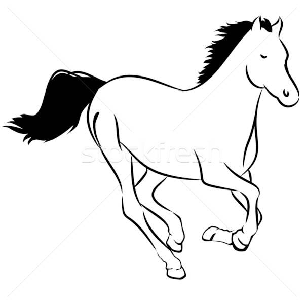 600x600 Wild Horse Vector Illustration Andreas Berheide