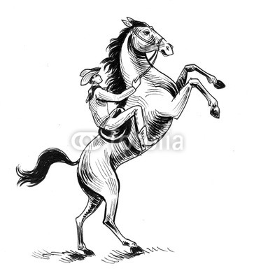 363x400 Cowboy Riding A Wild Horse Ink Black And White Illustration Buy