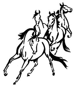 268x300 Four Wild Horses Sticker Decal Brand New For Car,float, Tack Box