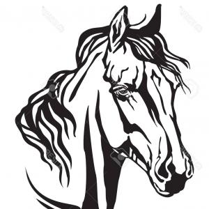 300x300 Head Of Wild Horse Gm Soidergi