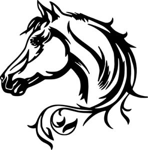 296x300 Horse Head Beauty Wild Horses Car Truck Wall Window Laptop Vinyl