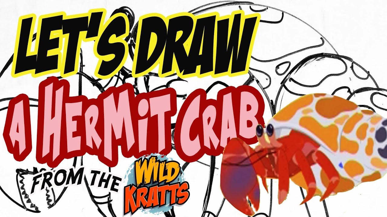 1280x720 Drawing A Hermit Crab From Wild Kratts With Basic Shapes And Lines
