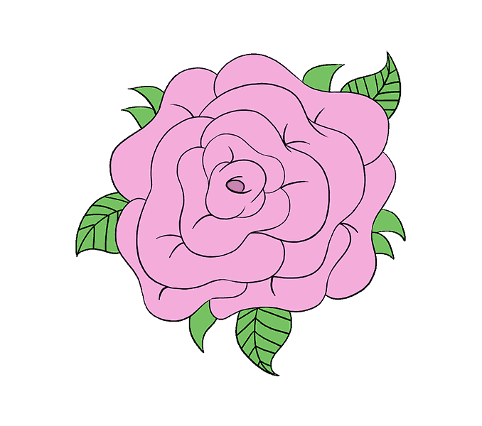678x600 How To Draw A Rose Flower Easy Drawing Guides