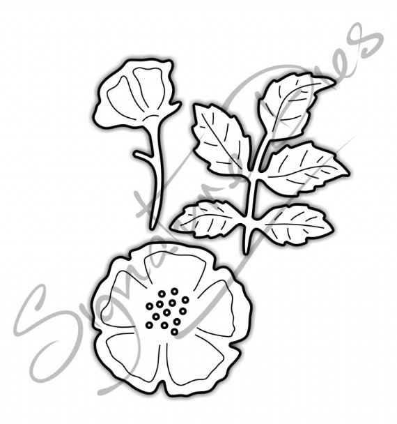 570x608 Signature Dies