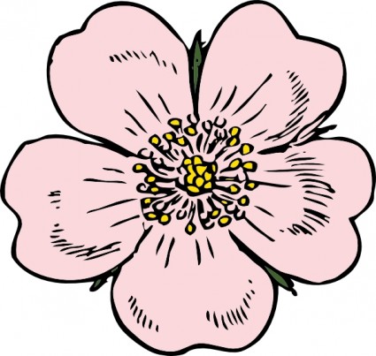 425x403 Wild Rose Clip Art Free Vector In Open Office Drawing Clipart