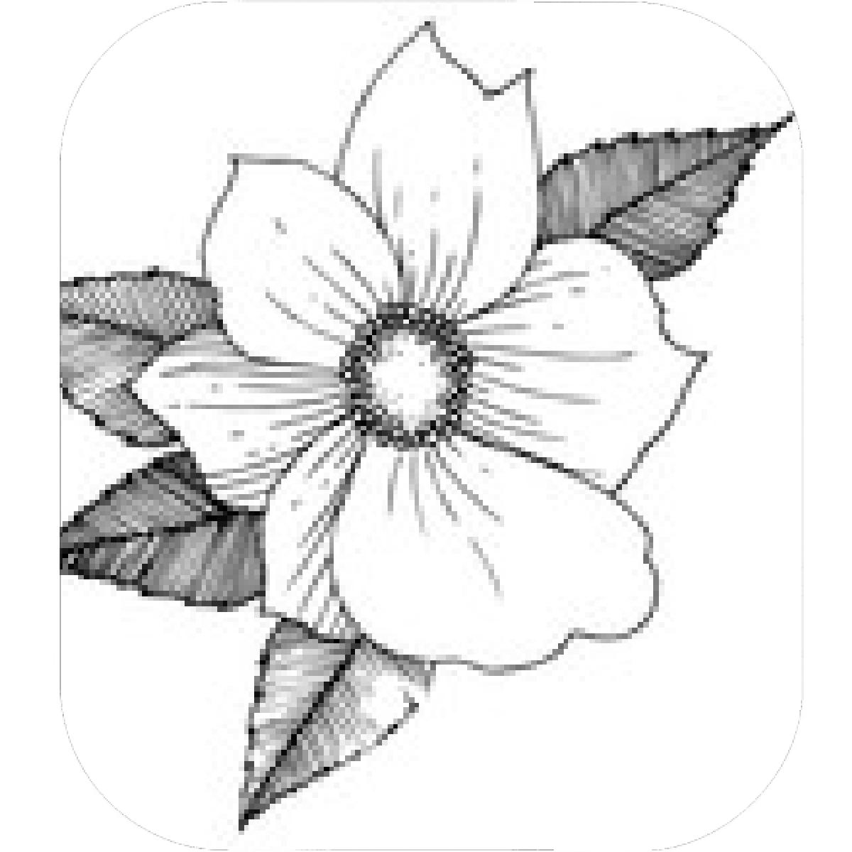 1200x1200 Designs Mein Mousepad Design Mousepad Selbst Designen