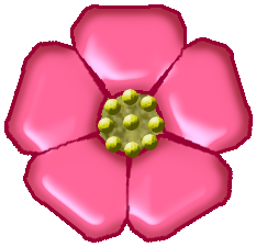 233x225 Filewildrose Drawing