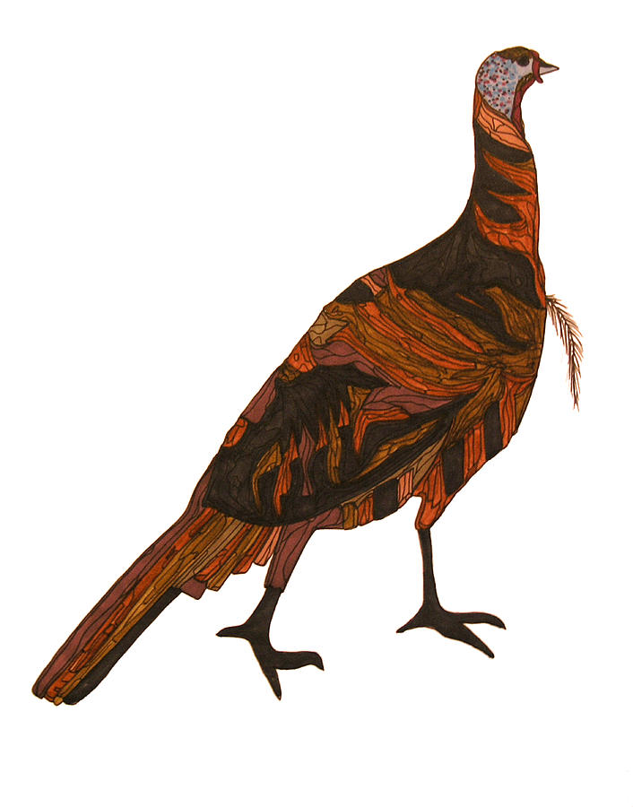 706x900 Wild Turkey Drawing