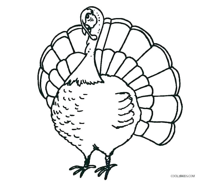 850x750 A Turkey Coloring