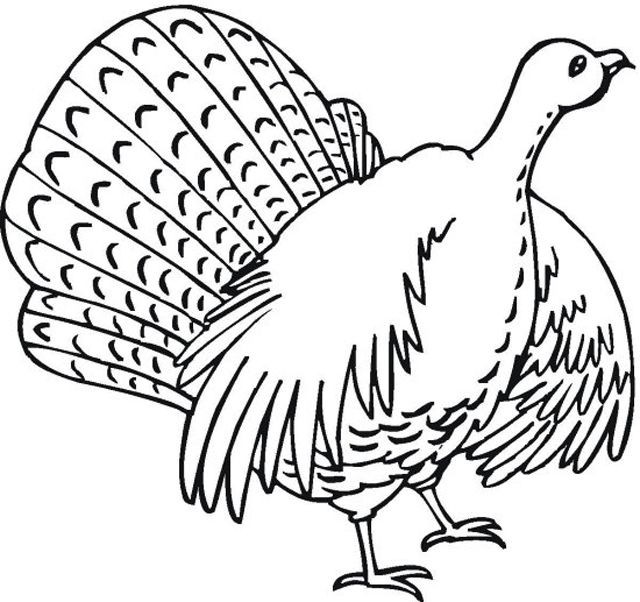 640x602 Cooked Turkey Drawing Cross Clipart