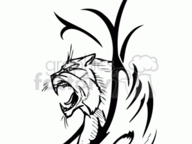 640x480 Free Wildcat Clipart, Download Free Clip Art