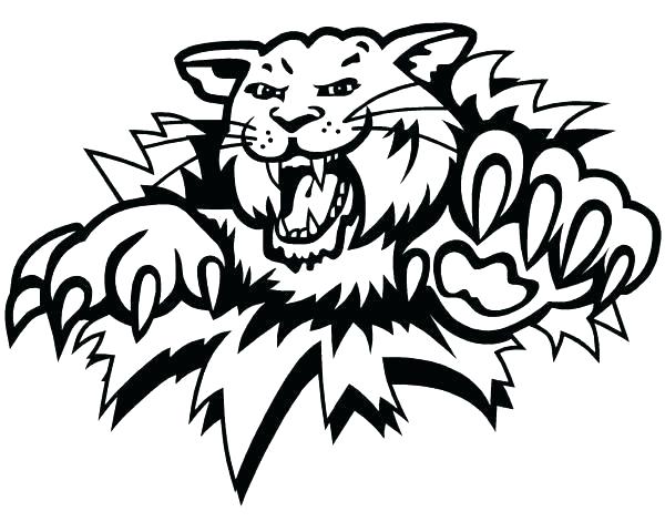600x480 Wildcat Coloring Pages Kentucky Wildcats Coloring Sheets