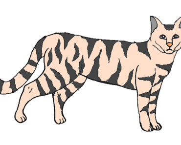 370x297 Simple Wildcat Drawing Archives