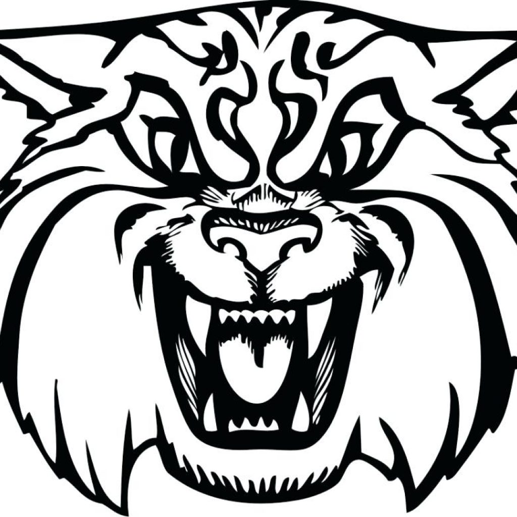 1024x1024 Clipart Wild Cat
