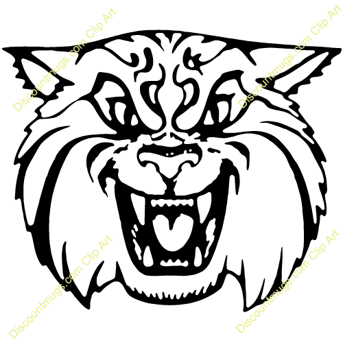 500x500 Drawing, Cat, White, Transparent Png Image Clipart Free Download