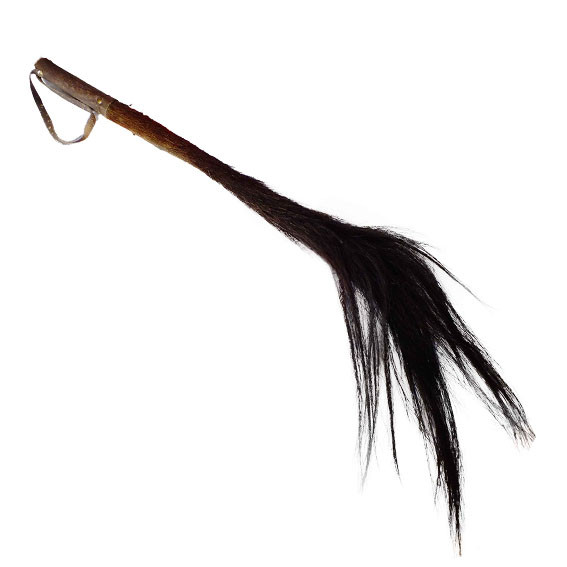 567x567 Blue Wildebeest Tail