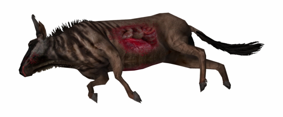 920x381 Dead Wildebeest