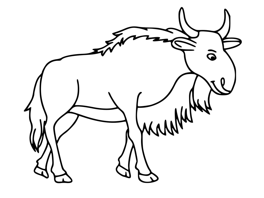 1024x768 How To Draw A Wildebeest Drawing