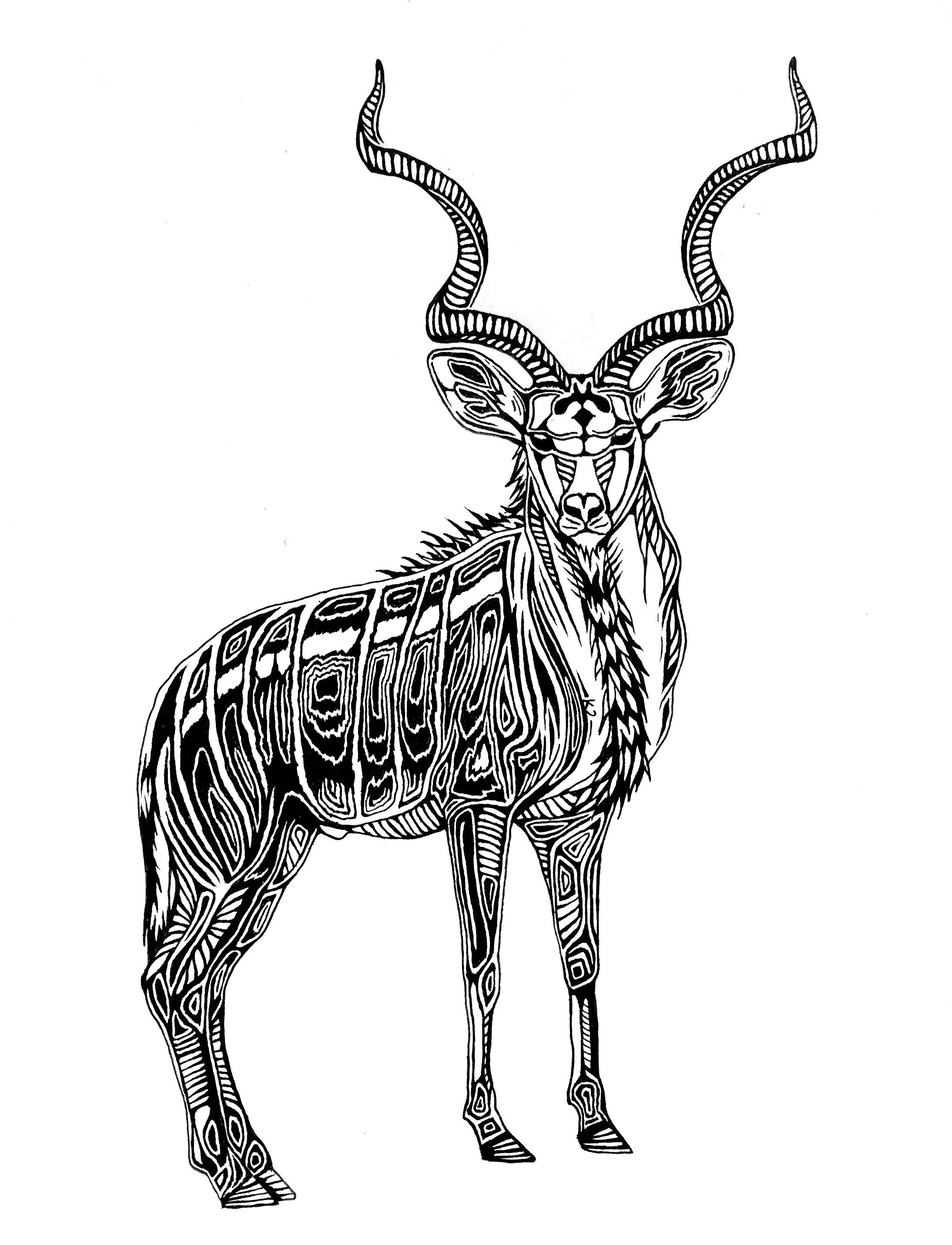 2188x2861 Savage Mountain Art Design