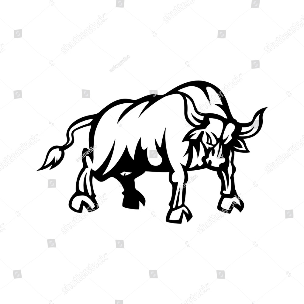 1000x1000 Tigers A Sketch