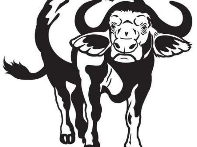 640x480 Gnu Clipart Wildebeest Free Clip Art Stock Illustrations